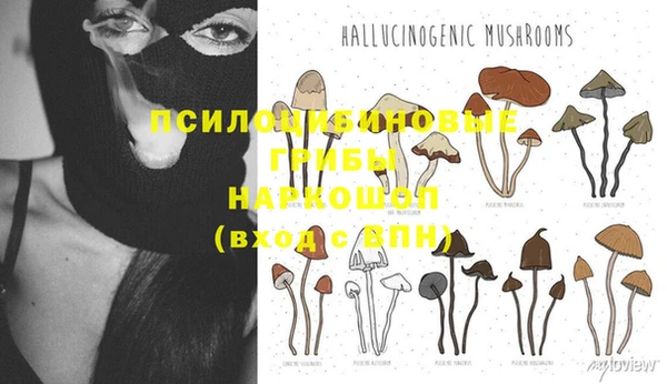 дживик Аркадак